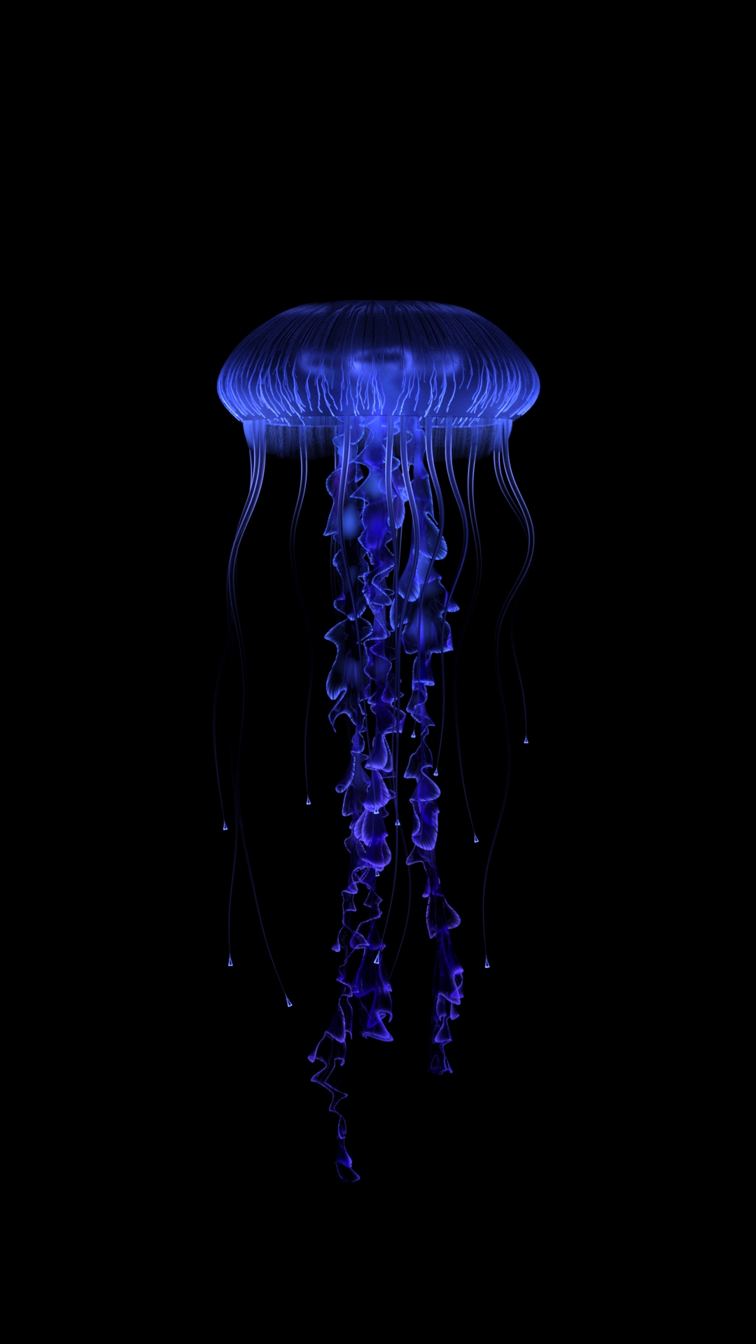 Procedural Jellyfish