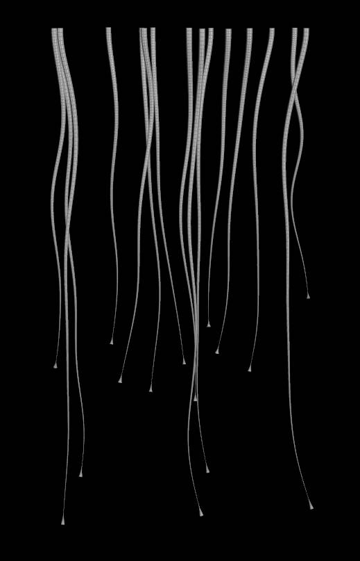 Procedural Jellyfish - 9